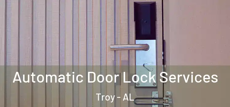 Automatic Door Lock Services Troy - AL