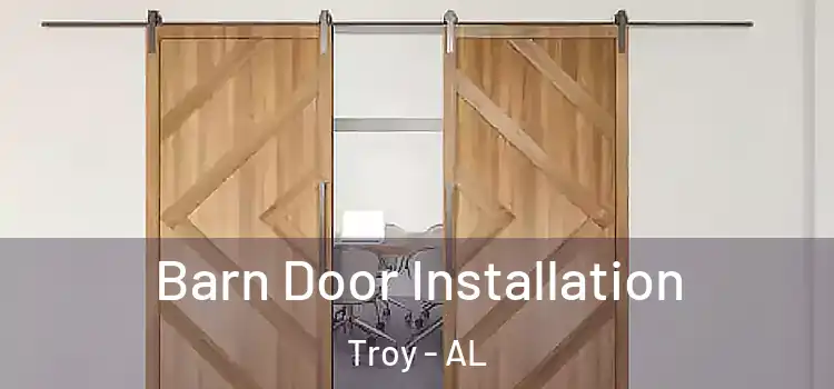 Barn Door Installation Troy - AL