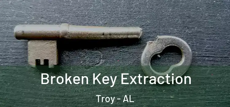 Broken Key Extraction Troy - AL