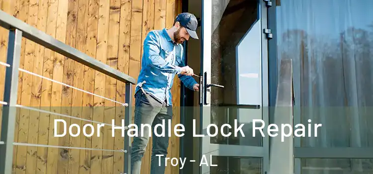 Door Handle Lock Repair Troy - AL
