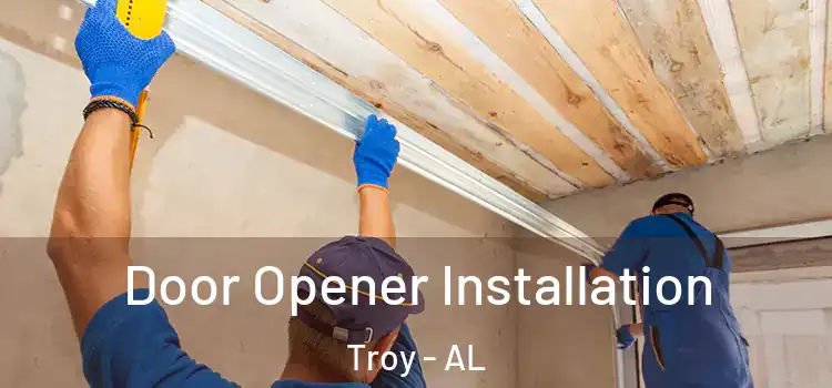 Door Opener Installation Troy - AL