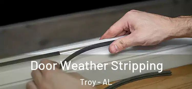 Door Weather Stripping Troy - AL