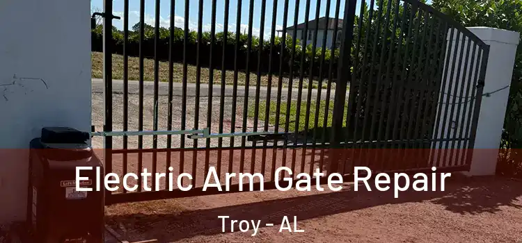 Electric Arm Gate Repair Troy - AL