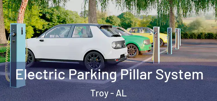 Electric Parking Pillar System Troy - AL