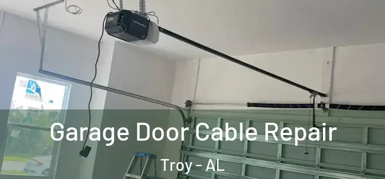  Garage Door Cable Repair Troy - AL