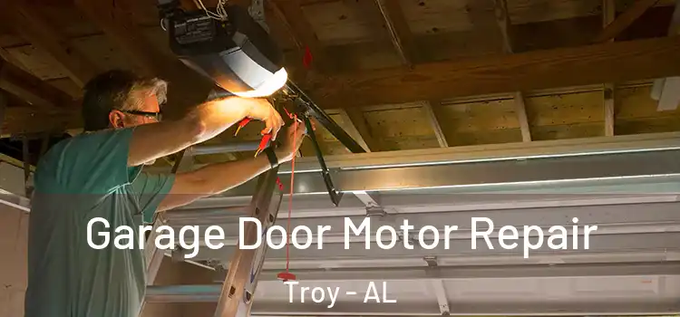  Garage Door Motor Repair Troy - AL