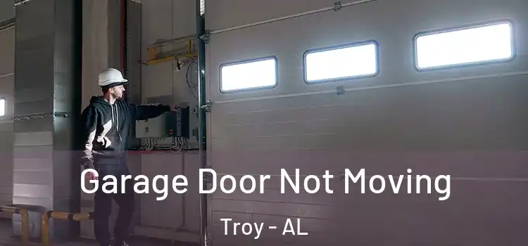  Garage Door Not Moving Troy - AL