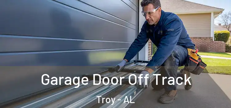  Garage Door Off Track Troy - AL