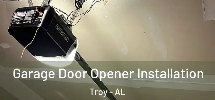  Garage Door Opener Installation Troy - AL