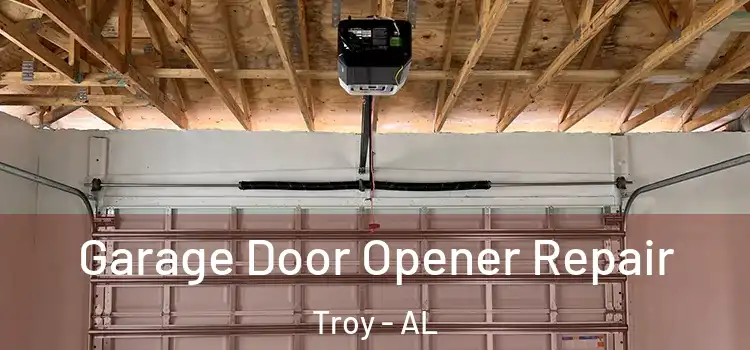  Garage Door Opener Repair Troy - AL