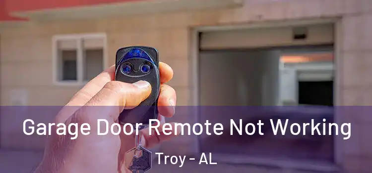  Garage Door Remote Not Working Troy - AL