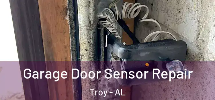 Garage Door Sensor Repair Troy - AL