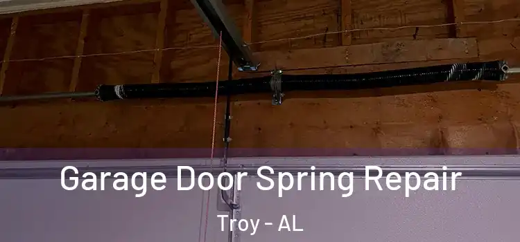  Garage Door Spring Repair Troy - AL