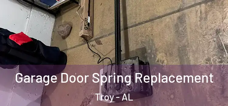  Garage Door Spring Replacement Troy - AL