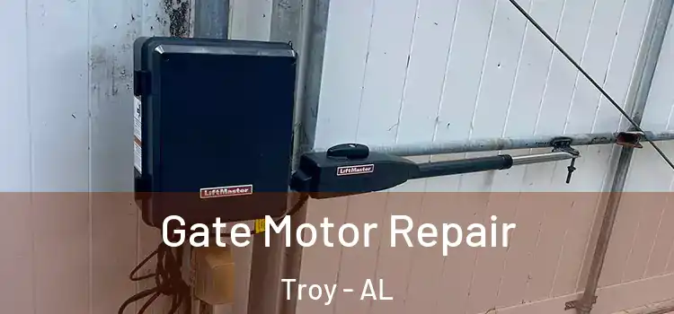 Gate Motor Repair Troy - AL