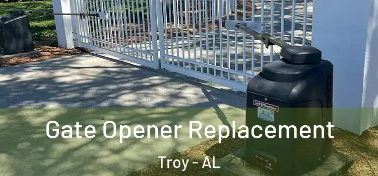 Gate Opener Replacement Troy - AL
