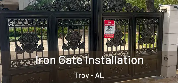 Iron Gate Installation Troy - AL