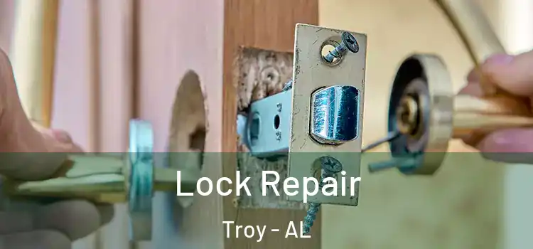 Lock Repair Troy - AL
