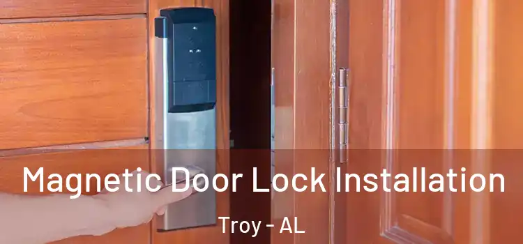  Magnetic Door Lock Installation Troy - AL