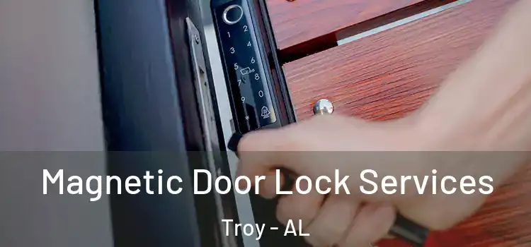 Magnetic Door Lock Services Troy - AL