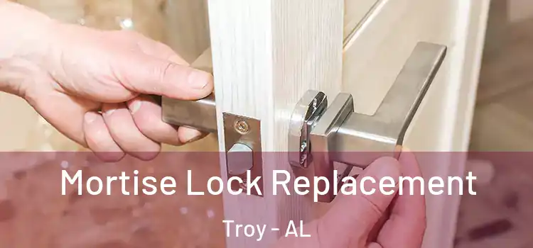 Mortise Lock Replacement Troy - AL