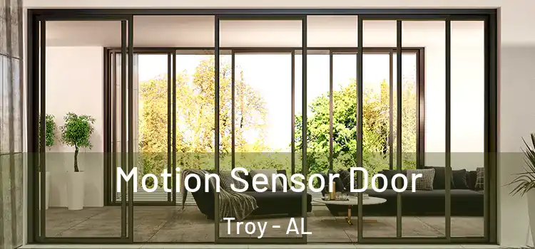 Motion Sensor Door Troy - AL