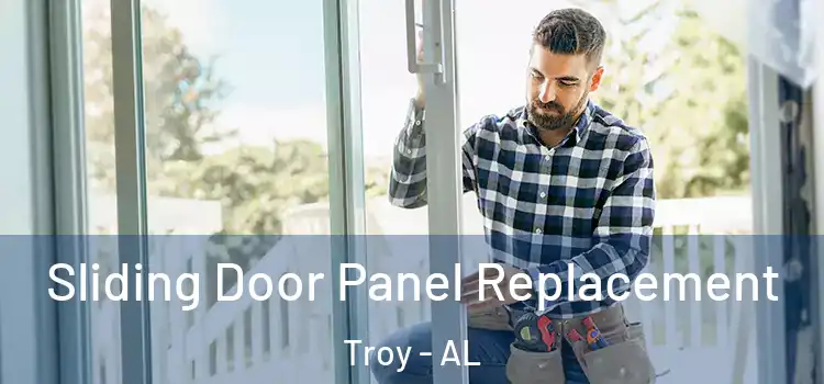 Sliding Door Panel Replacement Troy - AL