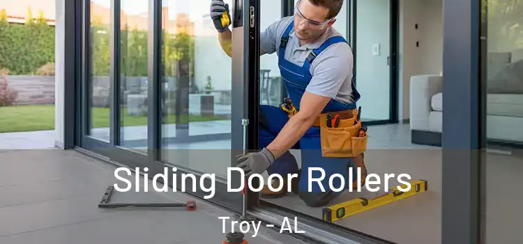 Sliding Door Rollers Troy - AL