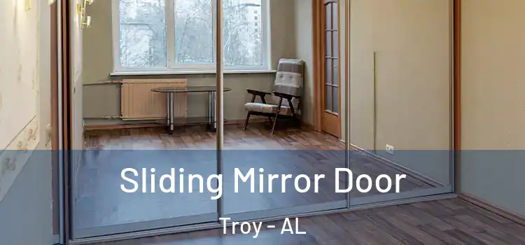  Sliding Mirror Door Troy - AL