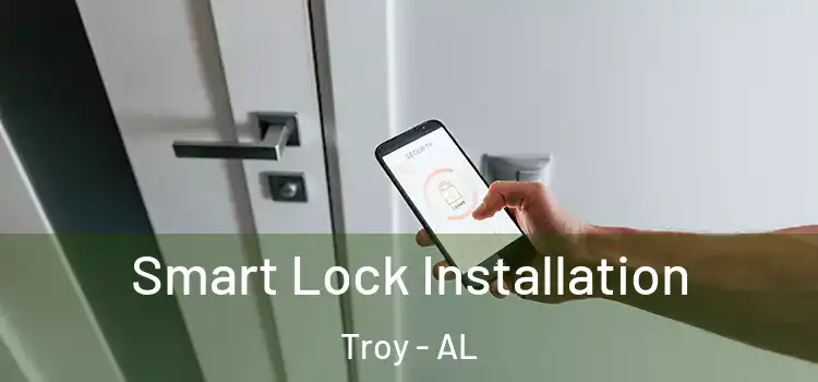 Smart Lock Installation Troy - AL